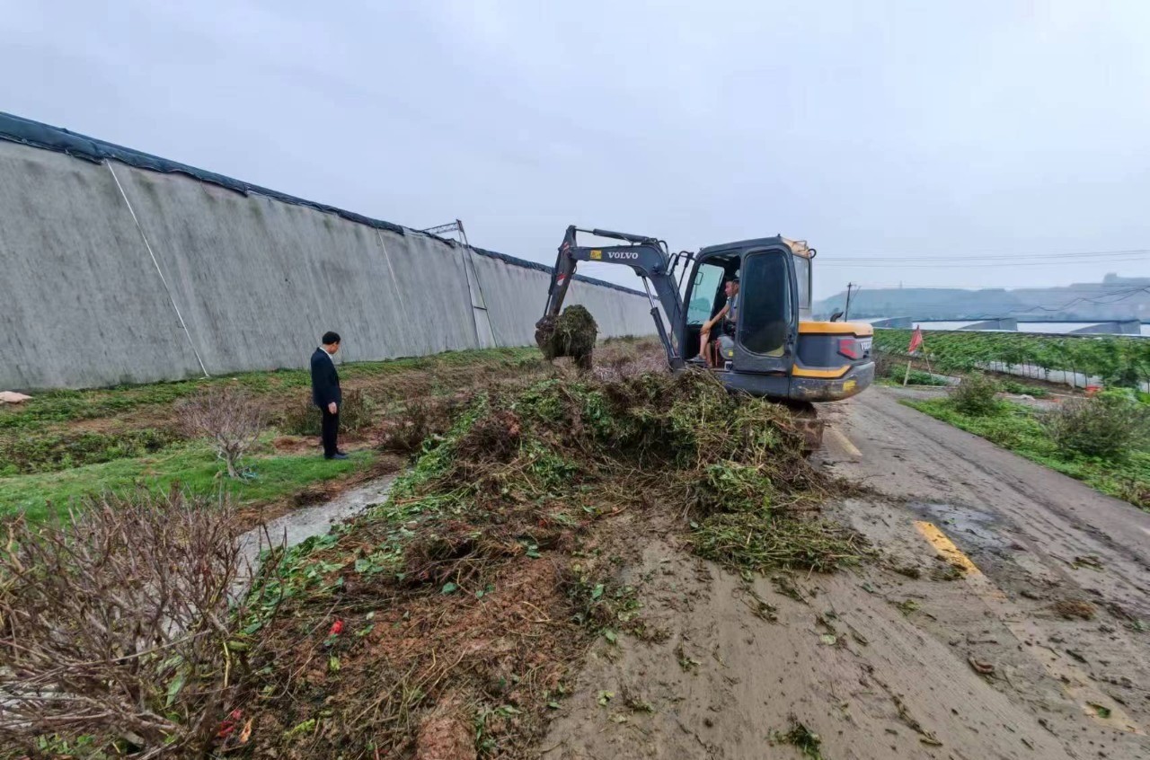 兰陵县新兴镇：风停雨歇人不停 人居环境再提升