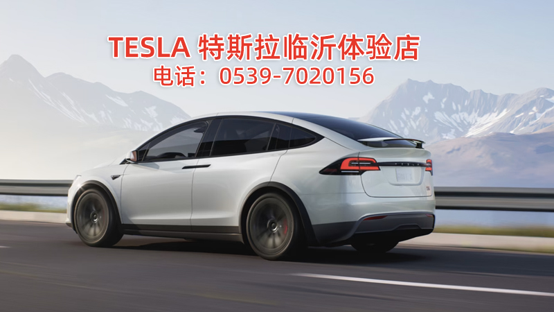 TESLA 特斯拉临沂体验店